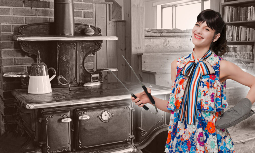 Die Entwicklung des Herdes - mömax blog