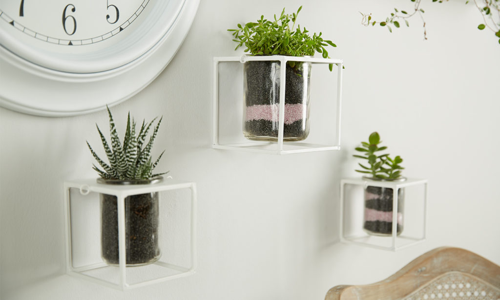 Windlichter als hängende Pflanzenhalter