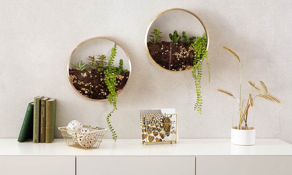 Begrünte Wanduhr selber machen